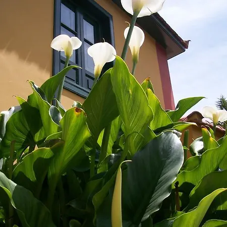 Caya Holiday home